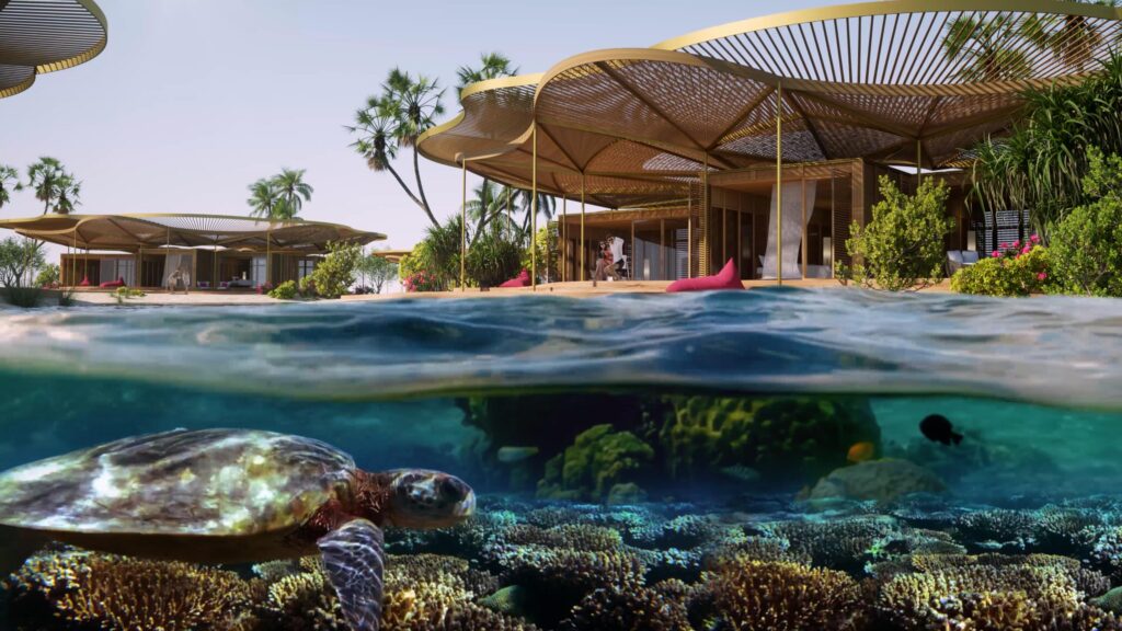 Saudi Red Sea